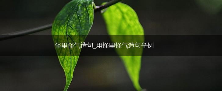 怪里怪气造句_用怪里怪气造句举例,第1张 怪里怪气造句_用怪里怪气造句举例,第1张