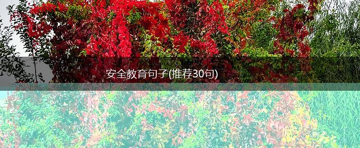 安全教育句子(推荐30句),第1张