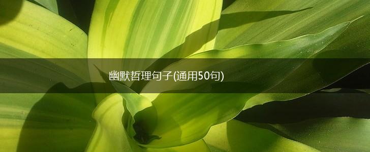 幽默哲理句子(通用50句),第1张