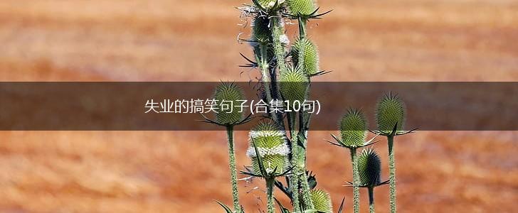 失业的搞笑句子(合集10句),第1张