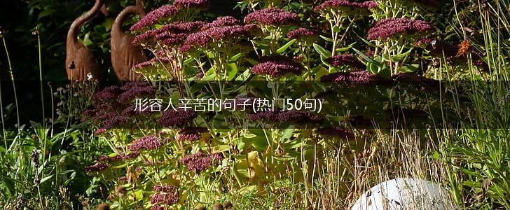 形容人辛苦的句子(热门50句),第1张