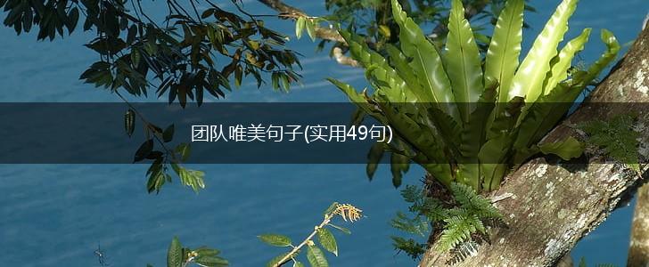 团队唯美句子(实用49句),第1张