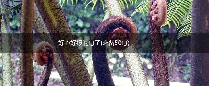 好心好报的句子(必备50句),第1张