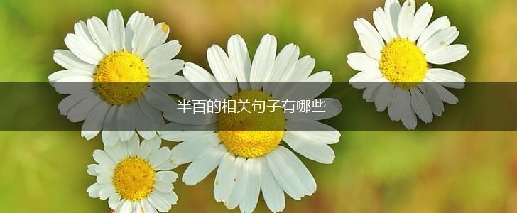 半百的相关句子有哪些,第1张