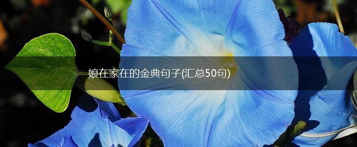 娘在家在的金典句子(汇总50句),第1张