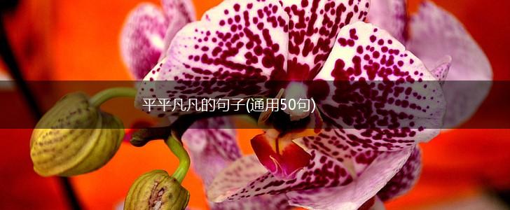 平平凡凡的句子(通用50句),第1张