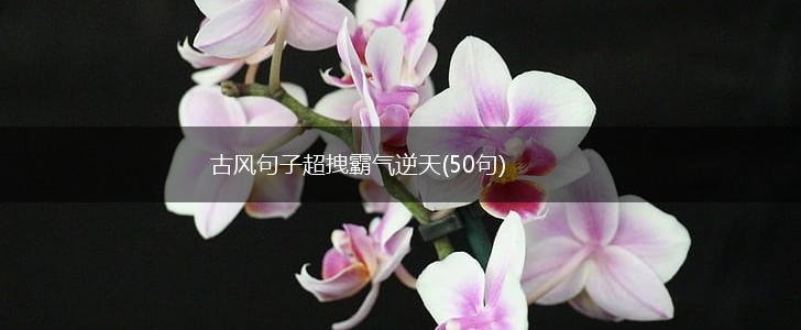 古风句子超拽霸气逆天(50句),第1张
