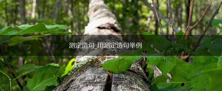 测定造句_用测定造句举例,第1张