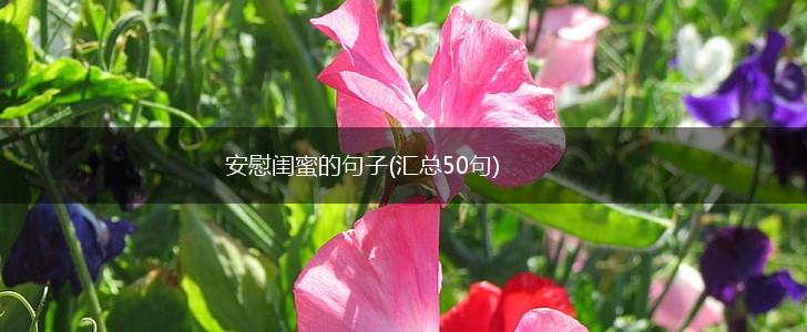 安慰闺蜜的句子(汇总50句),第1张