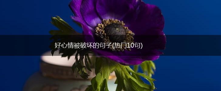 好心情被破坏的句子(热门10句),第1张