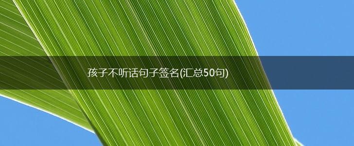 孩子不听话句子签名(汇总50句),第1张