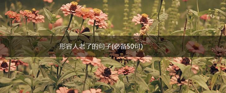 形容人老了的句子(必备50句),第1张