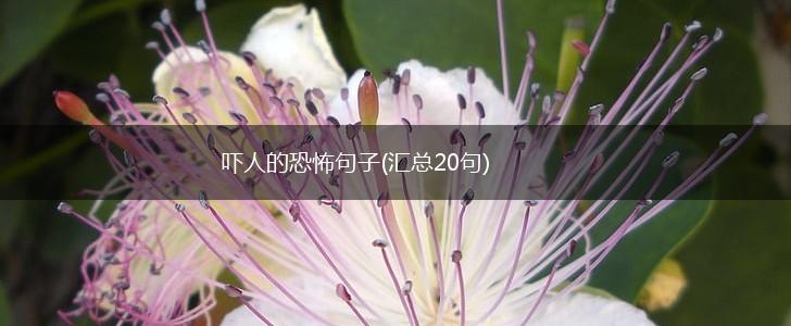 吓人的恐怖句子(汇总20句),第1张
