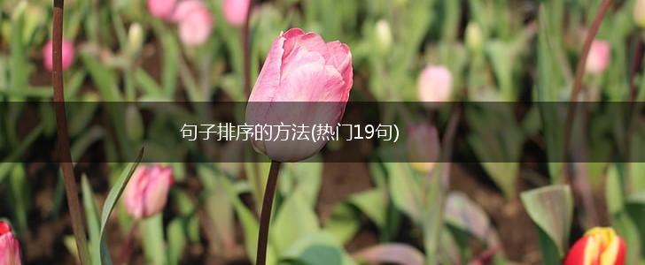 句子排序的方法(热门19句),第1张