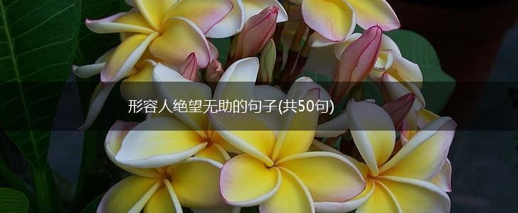 形容人绝望无助的句子(共50句),第1张