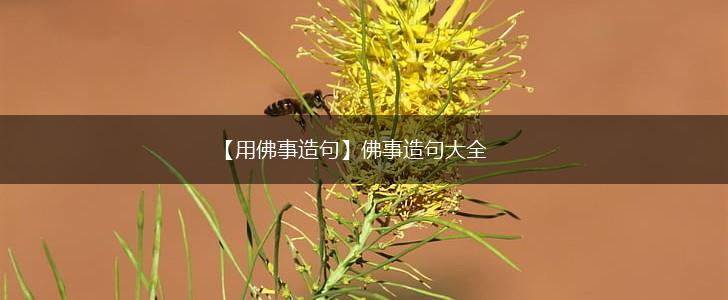 【用佛事造句】佛事造句大全,第1张