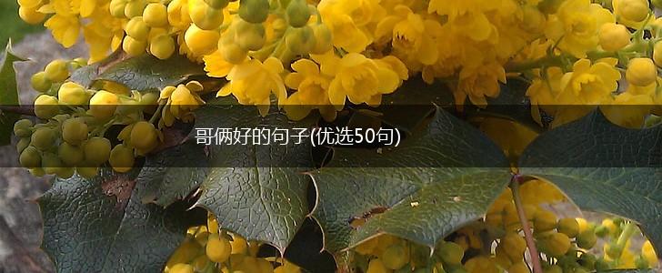 哥俩好的句子(优选50句),第1张