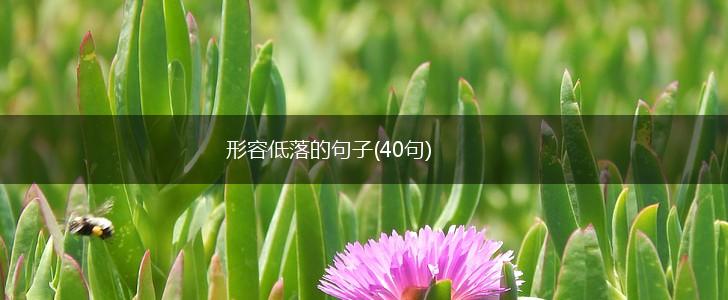 形容低落的句子(40句),第1张