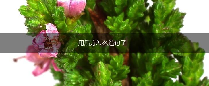 用后方怎么造句子,第1张 用后方怎么造句子,第1张