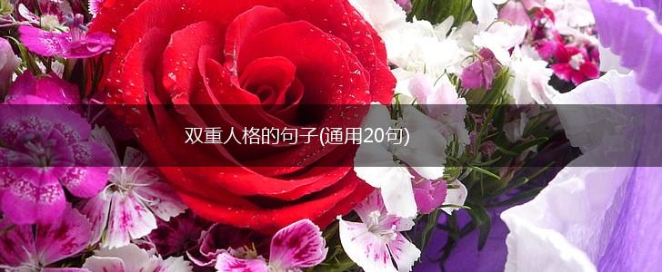 双重人格的句子(通用20句),第1张