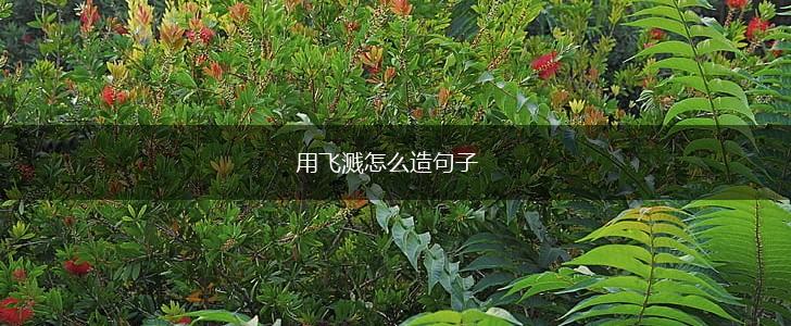 用飞溅怎么造句子,第1张 用飞溅怎么造句子,第1张