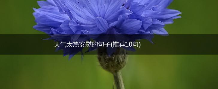 天气太热安慰的句子(推荐10句),第1张