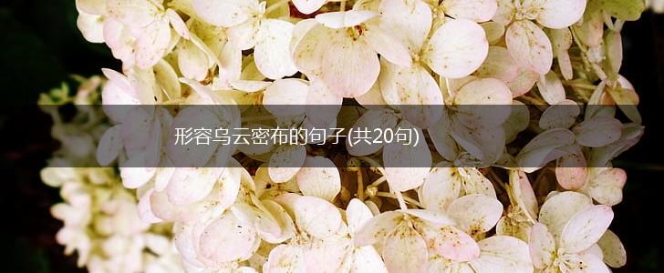 形容乌云密布的句子(共20句),第1张