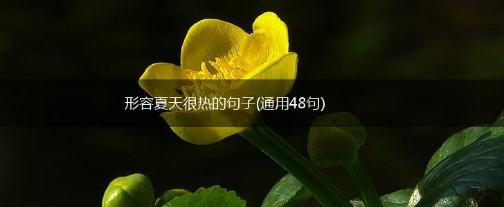形容夏天很热的句子(通用48句),第1张