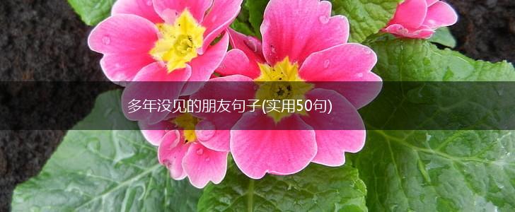 多年没见的朋友句子(实用50句),第1张