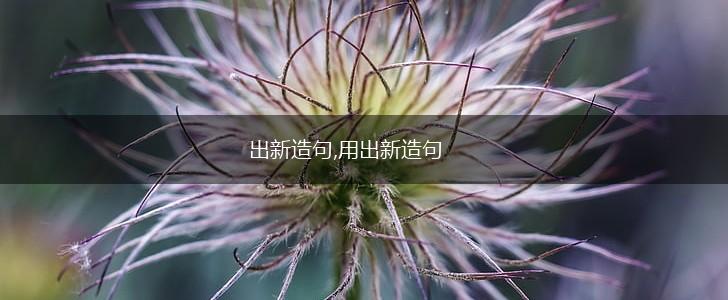 出新造句,用出新造句,第1张