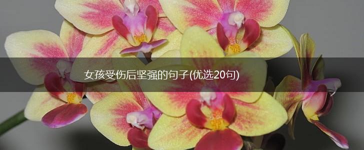 女孩受伤后坚强的句子(优选20句),第1张