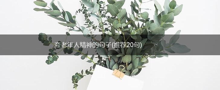 夸老年人精神的句子(推荐20句),第1张