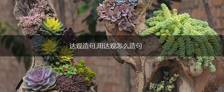 达观造句,用达观怎么造句,第1张