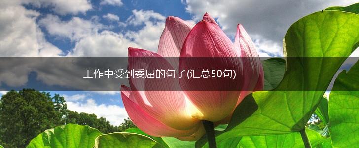 工作中受到委屈的句子(汇总50句),第1张