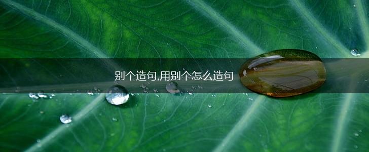 别个造句,用别个怎么造句,第1张
