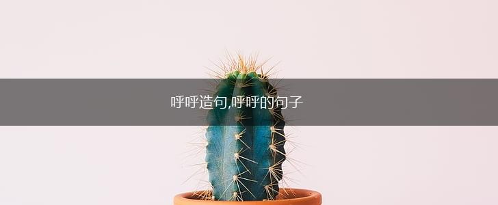 呼呼造句,呼呼的句子,第1张 呼呼造句,呼呼的句子,第1张