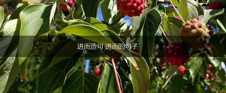 进而造句 进而的句子,第1张 进而造句 进而的句子,第1张