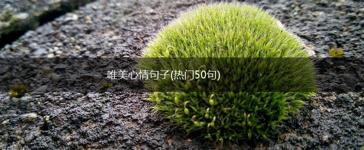 唯美心情句子(热门50句),第1张