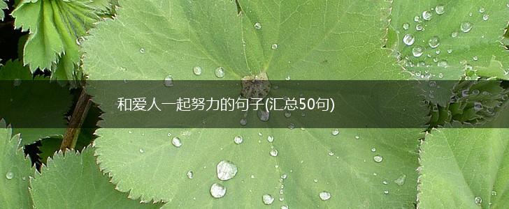 和爱人一起努力的句子(汇总50句),第1张