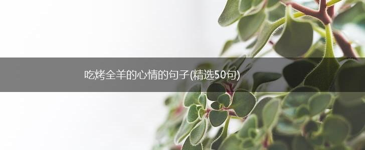 吃烤全羊的心情的句子(精选50句),第1张