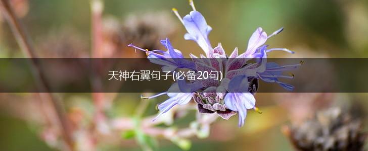 天神右翼句子(必备20句),第1张