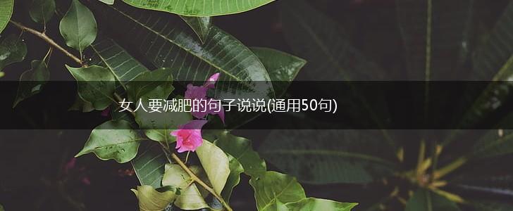 女人要减肥的句子说说(通用50句),第1张