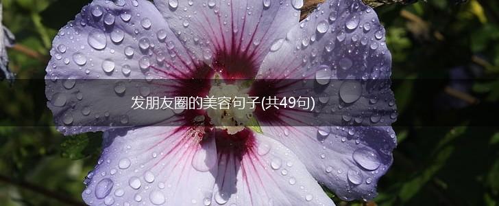 发朋友圈的美容句子(共49句),第1张