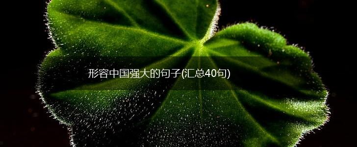 形容中国强大的句子(汇总40句),第1张