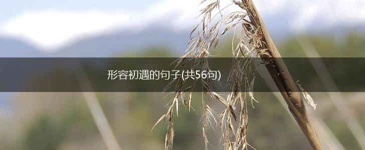 形容初遇的句子(共56句),第1张