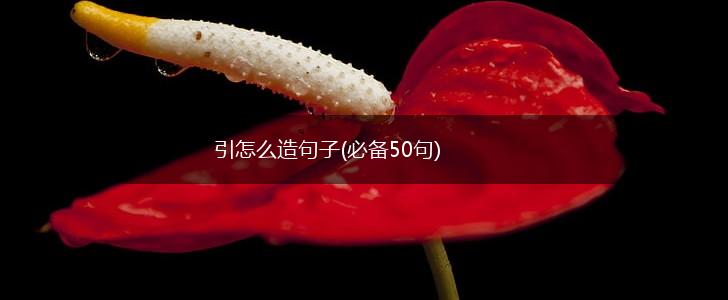 引怎么造句子(必备50句),第1张