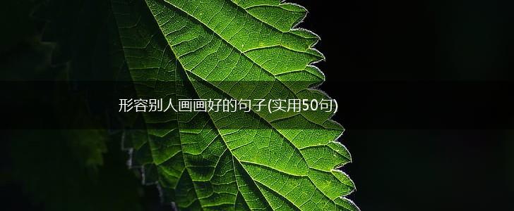 形容别人画画好的句子(实用50句),第1张