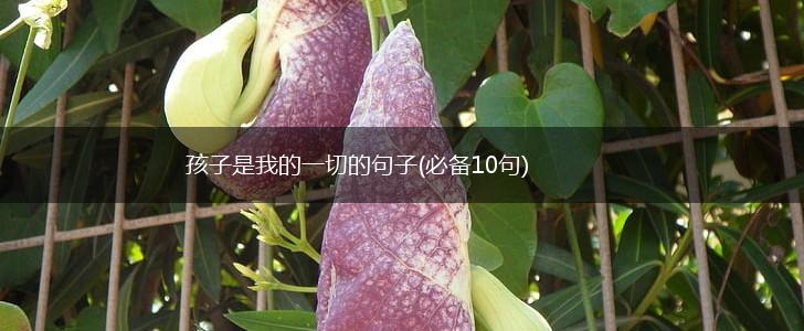 孩子是我的一切的句子(必备10句),第1张