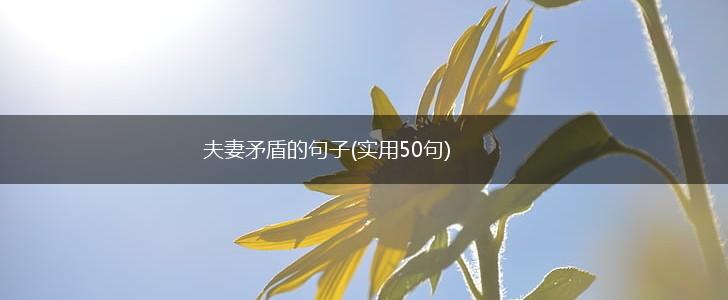 夫妻矛盾的句子(实用50句),第1张