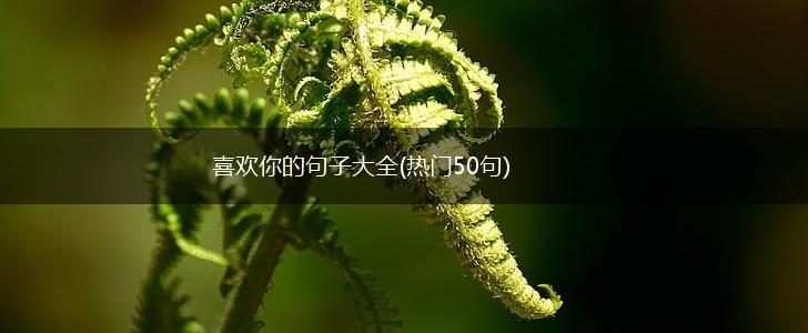 喜欢你的句子大全(热门50句),第1张